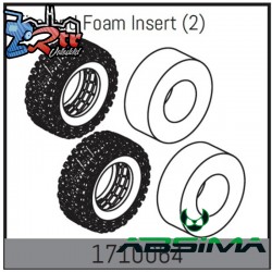 Tire and Foam Insert