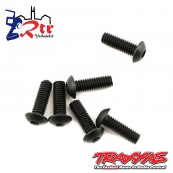Tornillos 4x12mm 6 Unidades TRA3937