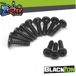 Pan Head SelfTapping Screws BMHO2.3*10mm