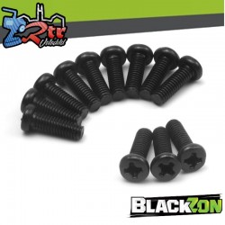 Pan Head SelfTapping Screws BMHO2.5*8mm