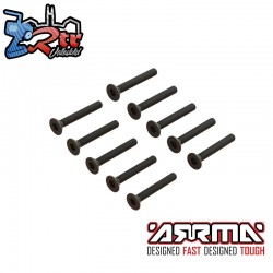 Flat Head Screw M1.6x12mm (10)