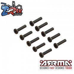 Flat Head Screw M2.5x12mm (10)