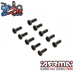 Flat Head Screw M2.5x8mm (10)