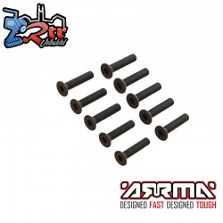 Flat Head Screw M2x10mm (10)