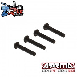 Button Head Screw  M4x24mm (4) tornil