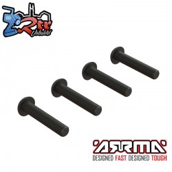 Button Head Screw  M5x25mm (4)