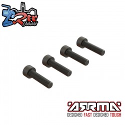Cap Head Screw  M4x16mm (4)