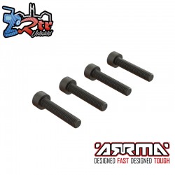 Cap Head Screw  M4x20mm (4)