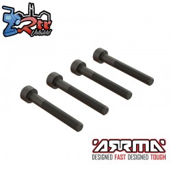 Cap Head Screw  M4x30mm (4)