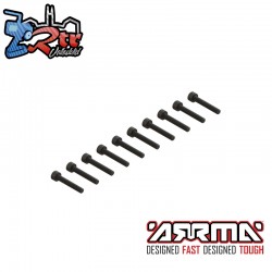 Cap Head Screw M2.5x16mm (10)