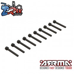 Cap Head Screw M2.5x20mm (10)
