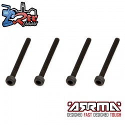 Cap Head Screw M2.5x25mm (4)