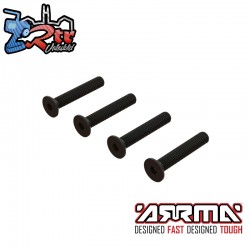 Flat Head Hex Machine Screw M4x24mm (4)