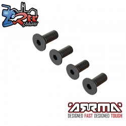 Flat Head Screw M4x10mm (4)