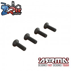 Flat Head Screw M4x14mm (4)