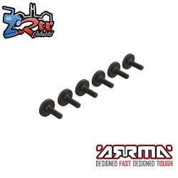 Large Head Screw M3x10mm (6)