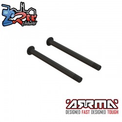Screw Hinge Pin M3x37mm (2)