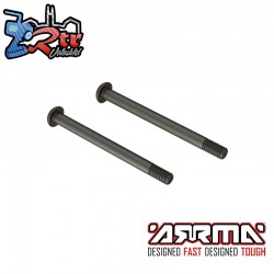 Screw Hinge Pin M4x48mm (2)