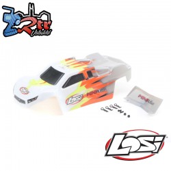 Body  Gray-White: Mini-T 2.0