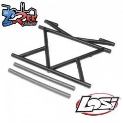 Cage and Crossbraces  Center: RZR Rey