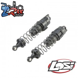 Front Shock Set Complete: 22S