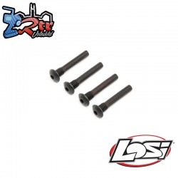 Hinge Pin Screw  Outer (4): Super Baja Rey