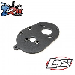 Motor Plate: 22S