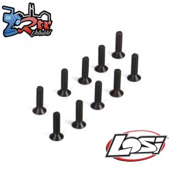 Flat head screws  m2 x 8mm (10)