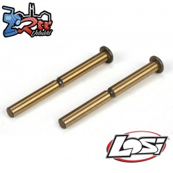 Hinge pin set: front  inner (2): 22