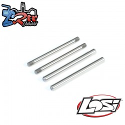 Rear Hinge Pin Set  Polished: All 22