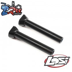 Steering Posts (2): 22X