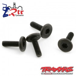Tornillos Motor 3x10 cabeza Hexagonal (4 Unidades) TRA4859