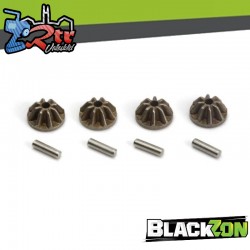 BLACKZON Internal Diff Gear and pins (4pcs)