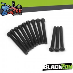 Pan Head Screws 3×30mm (12pcs)