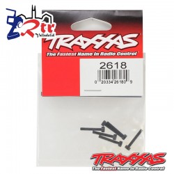 Tornillos  2.5x16mm hexagonal 6 Unidades TRA2618