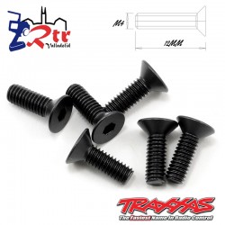 Tornillos Hexagonales 4X12 mm 6 Unidades Traxxas TRA2542