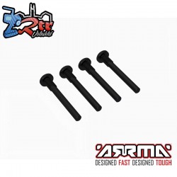 Screw Hinge Pin 3.5x26.6mm (4)