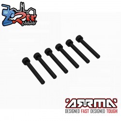 Cap Head Screw M2.5x20mm (6)