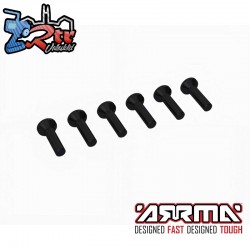 Flat Head Screw M2.5x10mm (6)