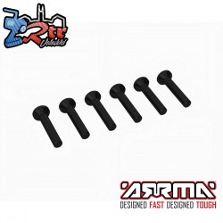Flat Head Screw M2.5x14mm (6)