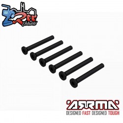 Flat Head Screw M2.5x22mm (6)