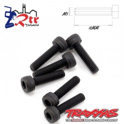 Tornillos Hexagonales 3X12 mm 6 Unidades Traxxas TRA2584