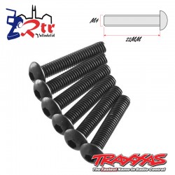 Tornillos Hexagonales 4X22 mm 6 Unidades Traxxas TRA2597