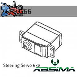 Steering Servo