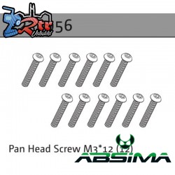 Pan Head Screw M3*12 (22)