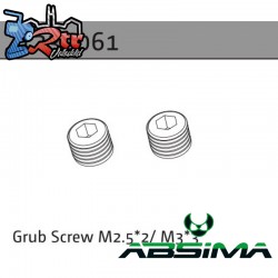 Grub Screw M2.5*2-M3*3 (2)
