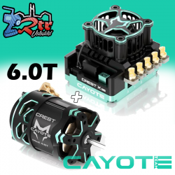 Combo brushless Team Cayote Crest X Evo + Crest Modified 6.0T 1/10