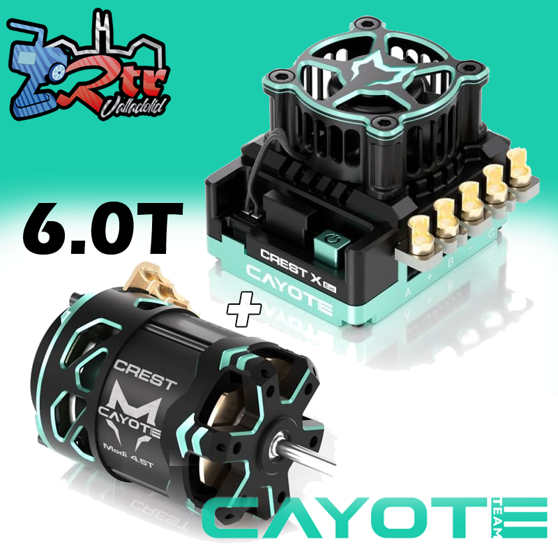 Combo brushless Team Cayote Crest X Evo + Crest Modified 6.0T 1/10