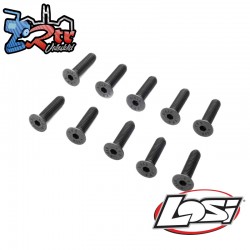 Flat Head Screws  M5 x 20mm STL (10)
