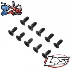Flat Head Screws  M5 x 12mm STL (10)